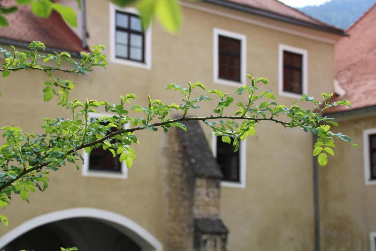 Hotel Im Stift Neuberg Neuberg an der Mürz Extérieur photo